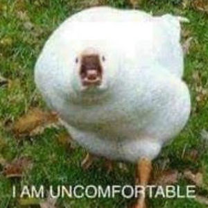 Meet your Posher, Im going